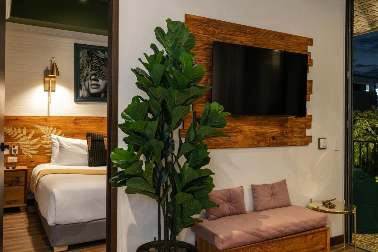 Celestino Boutique Hotel & Spa 메딜린 외부 사진